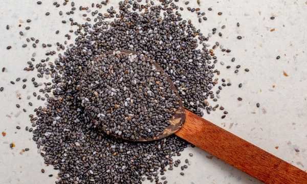 Chia Seed Fat Food