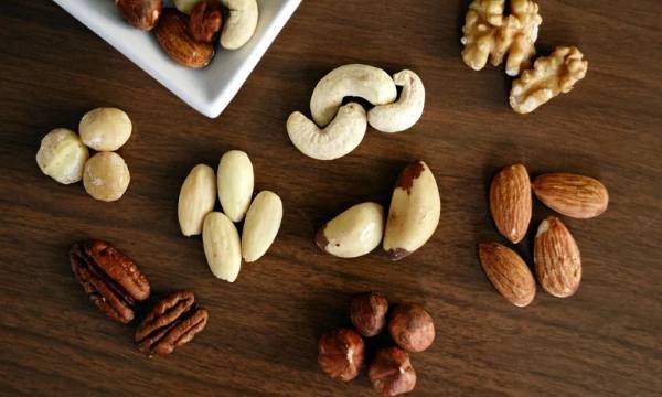 Dry Fruits Healthy Fat